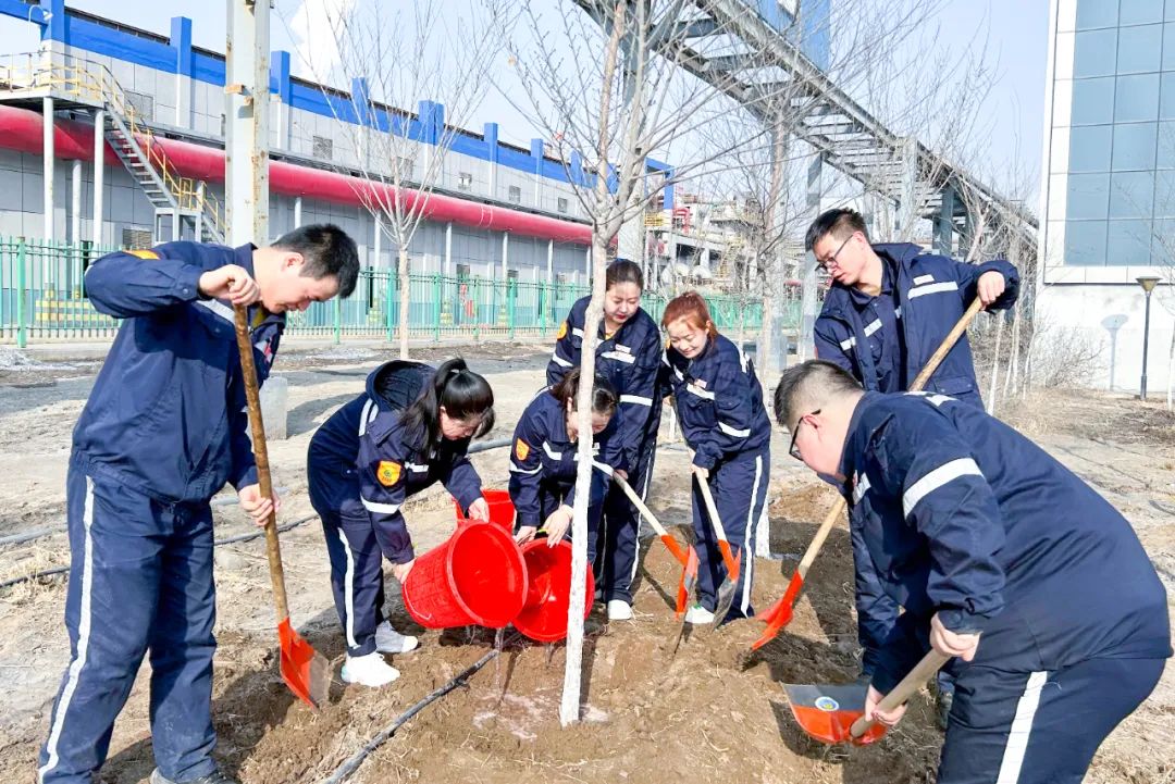 “植”此青綠共“樹(shù)”未來(lái)！集團(tuán)各公司開(kāi)展植樹(shù)活動(dòng)(圖19)